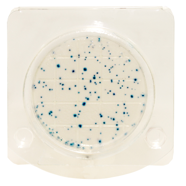 Экспресс тест Петритест сухой на колиформные бактерии (БГКП)